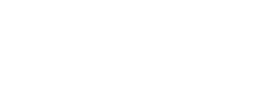 Skiddle Logo